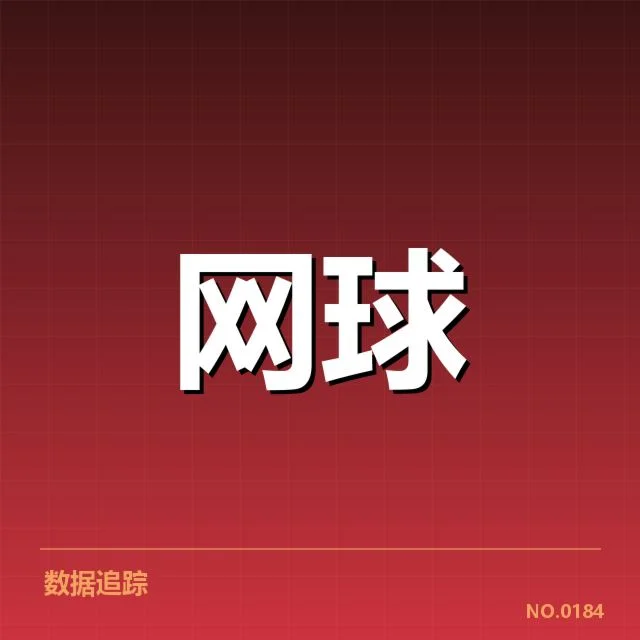 红土赛季技术特点背后，球员调整策略与场地适应引发关注